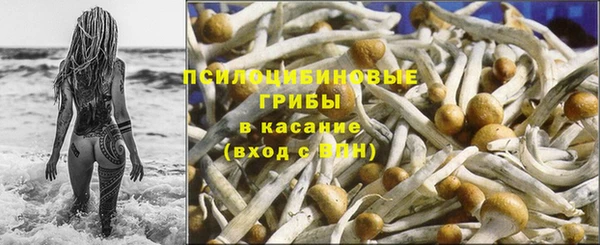 прущие крисы Михайловск